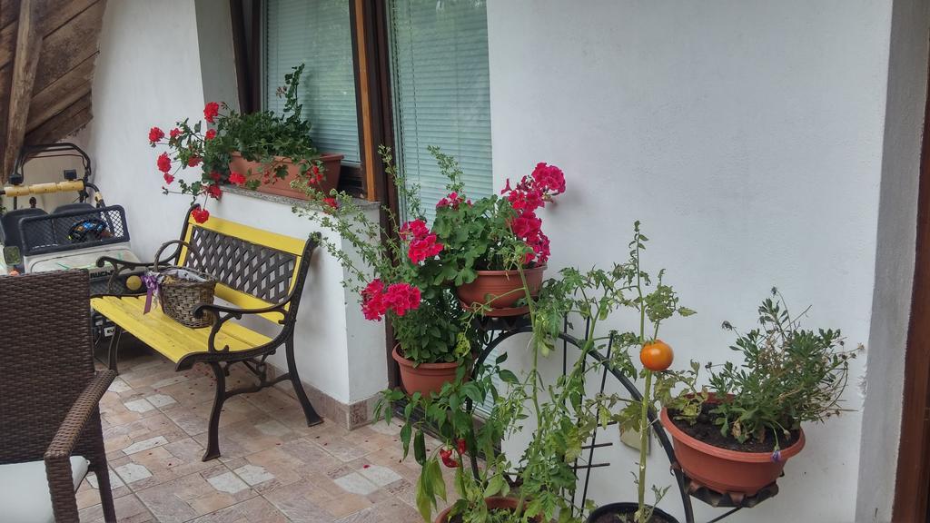 Darja Guesthouse Dob 外观 照片