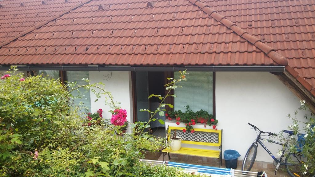 Darja Guesthouse Dob 外观 照片