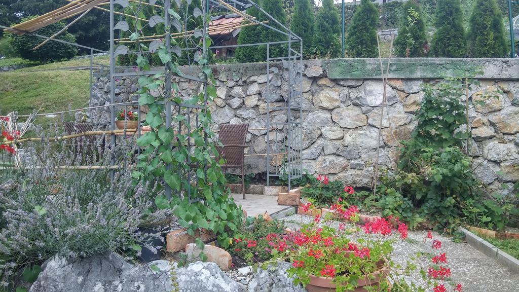 Darja Guesthouse Dob 外观 照片